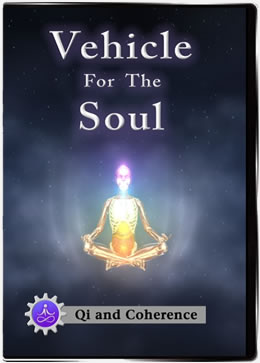Vehicle For The Soul DVD Cover